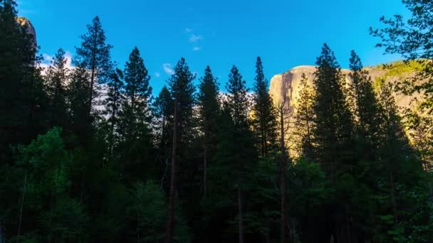 Piękny Park Narodowy Yosemite — Wideo stockowe