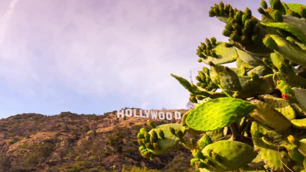 Famoso segno di Hollywood — Video Stock