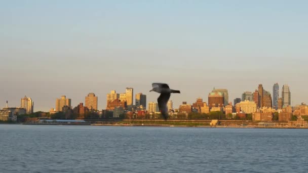 Panorama do rio hudson — Vídeo de Stock