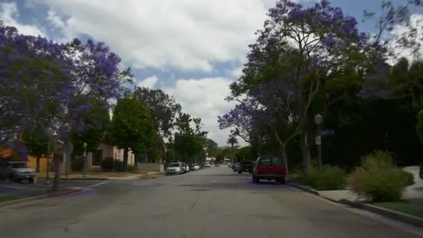 Miami sokaklarında trafik — Stok video
