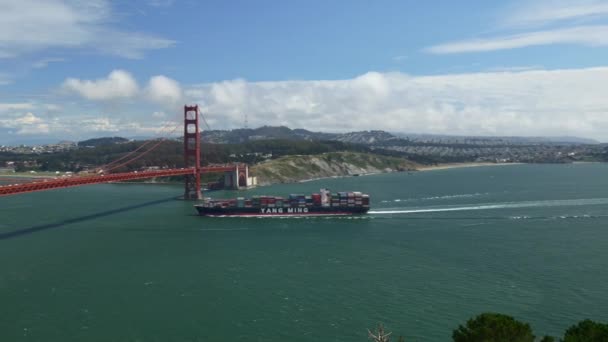 Navio de carga navegando sob ponte — Vídeo de Stock