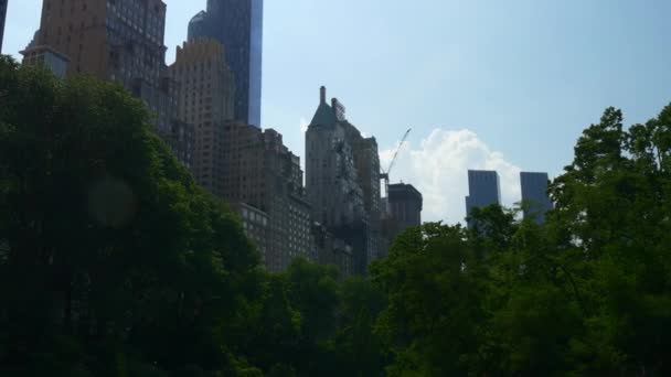 Central Park i New York — Stockvideo