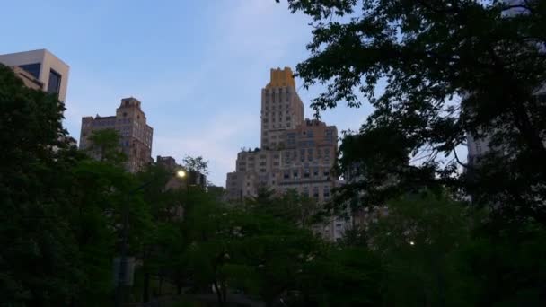 New York City Central Park — Stock video