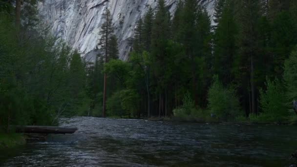 Ποταμού στο εθνικό πάρκο Yosemite — Αρχείο Βίντεο