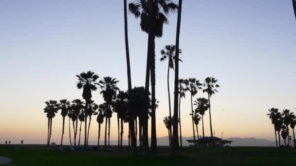 Dřevěný chodník na Venice Beach — Stock video