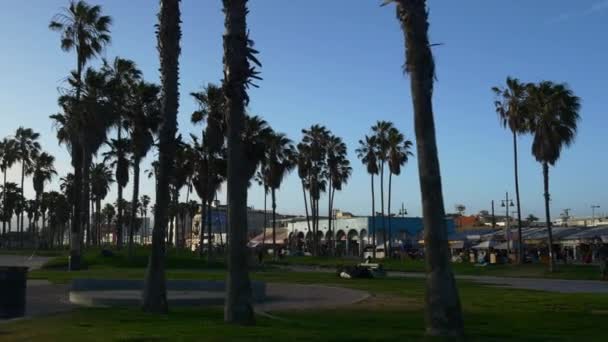 Miami şehir merkezi palmiye park — Stok video