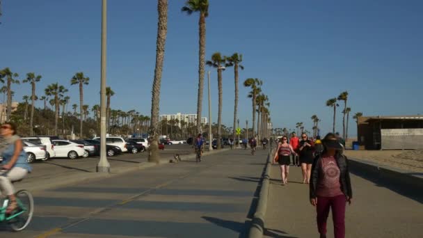 Passeio a pé na praia de Veneza — Vídeo de Stock