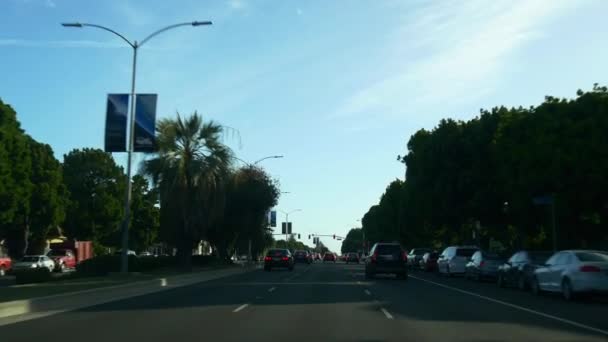 Crossroad traffic in san francisco — Stock Video