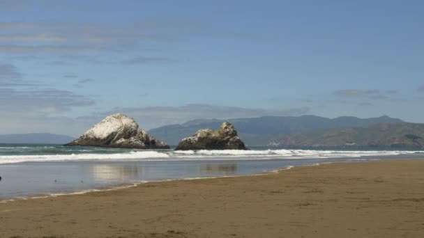 Ocean side beach panorama — Wideo stockowe