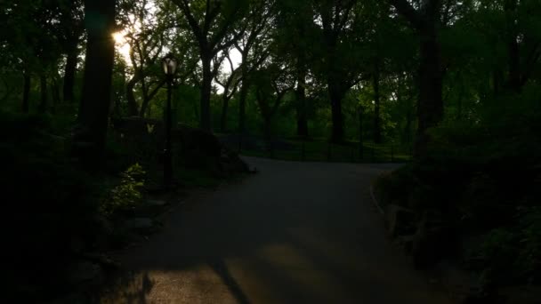 Нью-йоркський міський центральний парк — стокове відео