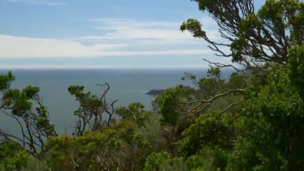 Baie de San Francisco 