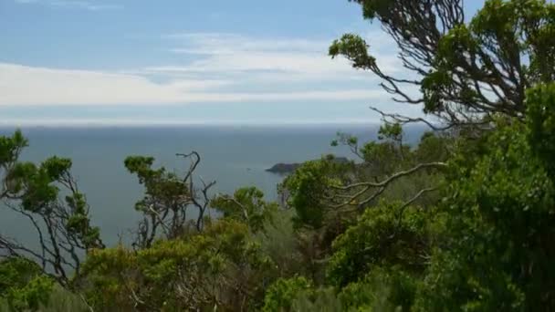 Bahía de San Francisco — Vídeo de stock