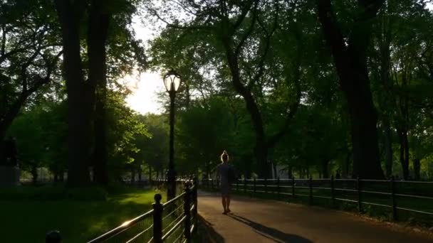 中央公園の草原でリラックスの人々 — ストック動画