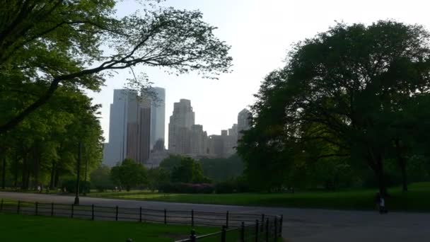 Menschen entspannen sich auf Wiese im Central Park — Stockvideo