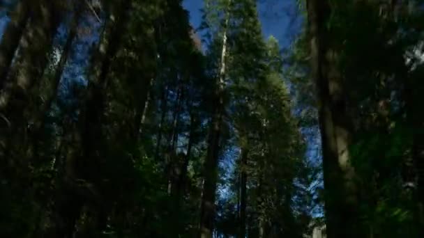 Bellissimo parco nazionale dello Yosemite — Video Stock