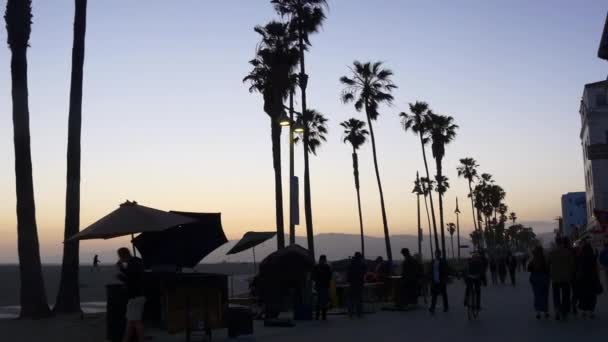 Une foule de personnes sur la plage de Venise — Video