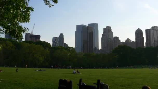 Gente relajándose en el prado en el parque central — Vídeos de Stock