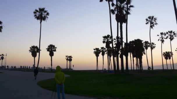 Paseo marítimo en la playa de Venecia — Vídeos de Stock