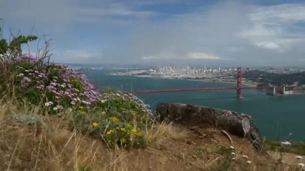 Golden Gate Bridge — Stock Video