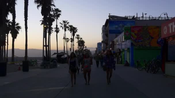 Tłum ludzi na Venice Beach — Wideo stockowe