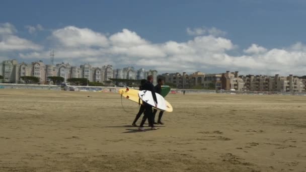 Solig vågor strand — Stockvideo