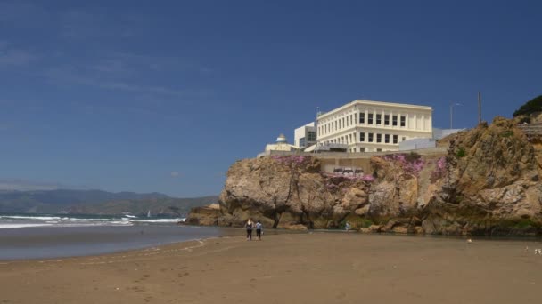 Les gens sur la plage océanique — Video