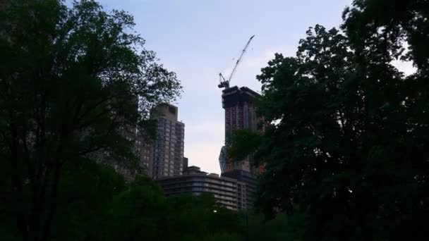 Central Park i New York — Stockvideo