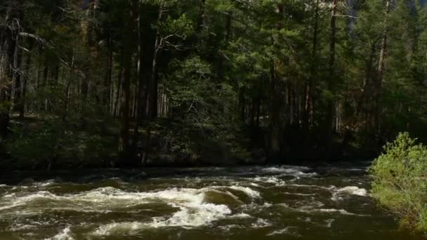 Fluss im Yosemite Nationalpark — Stockvideo