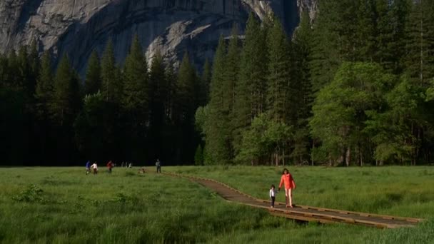 Прекрасный Йосемитский национальный парк — стоковое видео