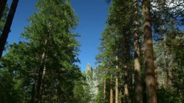 Güzel Yosemite Milli Parkı