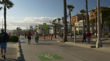 Miami şehir merkezi palmiye park