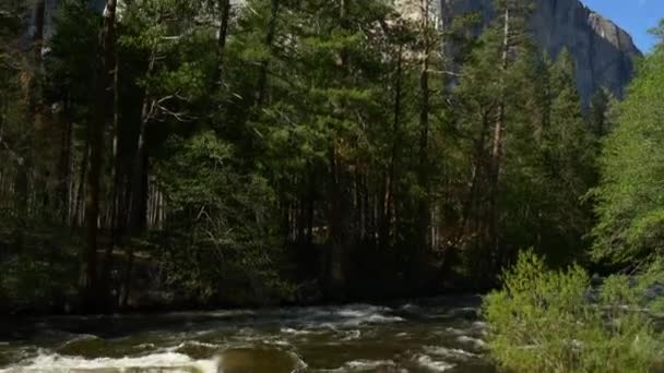 Floden i Yosemite National Park — Stockvideo