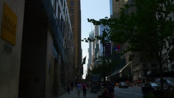 Z centra panorama Manhattanu — Stock video