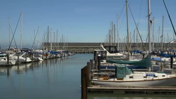 Yacht Dock Panorama — Stockvideo