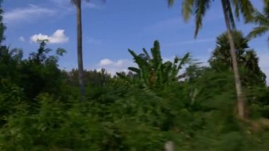 Phuket orman sürme 