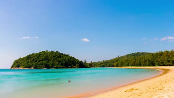 Turista má odpočinek na tropické pláži — Stock video