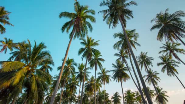 Cielo playa en phuket isla — Vídeo de stock