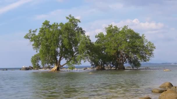 Vista na ilha deserta — Vídeo de Stock