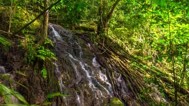 Wasserfall in Phuket Insel — Stockvideo