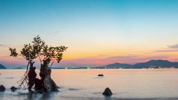 Gün batımı phuket Adası şehir sahil defne mangrov ağaç panorama 4 k zaman sukut Tayland — Stok video