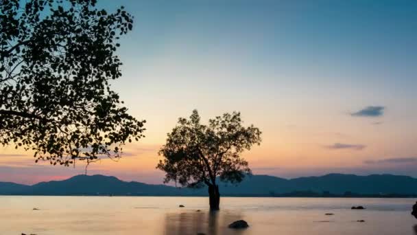 Phuket stad sunset bay mangrove boom panorama 4 k tijd vervallen thailand — Stockvideo