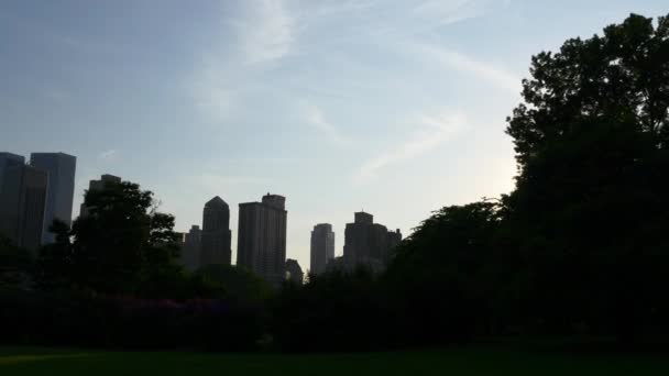 People relaxing on meadow in central park — Stock Video