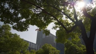 Qingdao şehrindeki modern ofis binaları, Çin, 4K