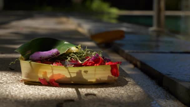 バリ島の有名な毎日宗教的な屋外寄付の花お香 スローモーションパノラマ Indonesia — ストック動画
