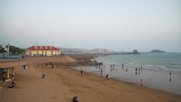 Slavná Veřejná Pláž Qingdao Čína — Stock video