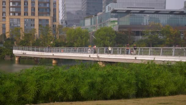 Tiempo Puesta Del Sol Changsha Ciudad Ribereña Parque Puente Cámara — Vídeos de Stock