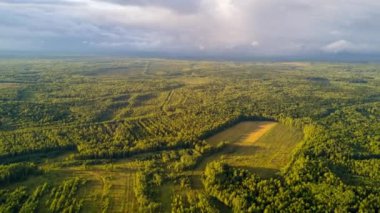 Orman ve tarlalı hava manzarası, Rusya, 4k, zaman ayarlı