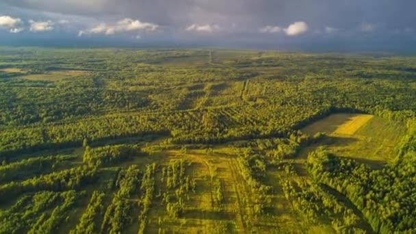 Paisagem Aérea Com Floresta Campo Rússia Timelapse — Vídeo de Stock