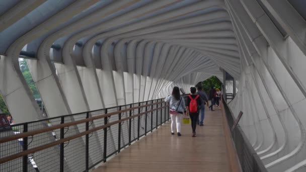 Ponte Pedonal Famosa Cidade Jacarta Indonésia Panorama — Vídeo de Stock