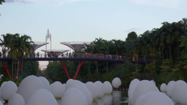 Evening Illumination Eggs Installation Famous Garden Bay Singapore City Panorama — Stock Video